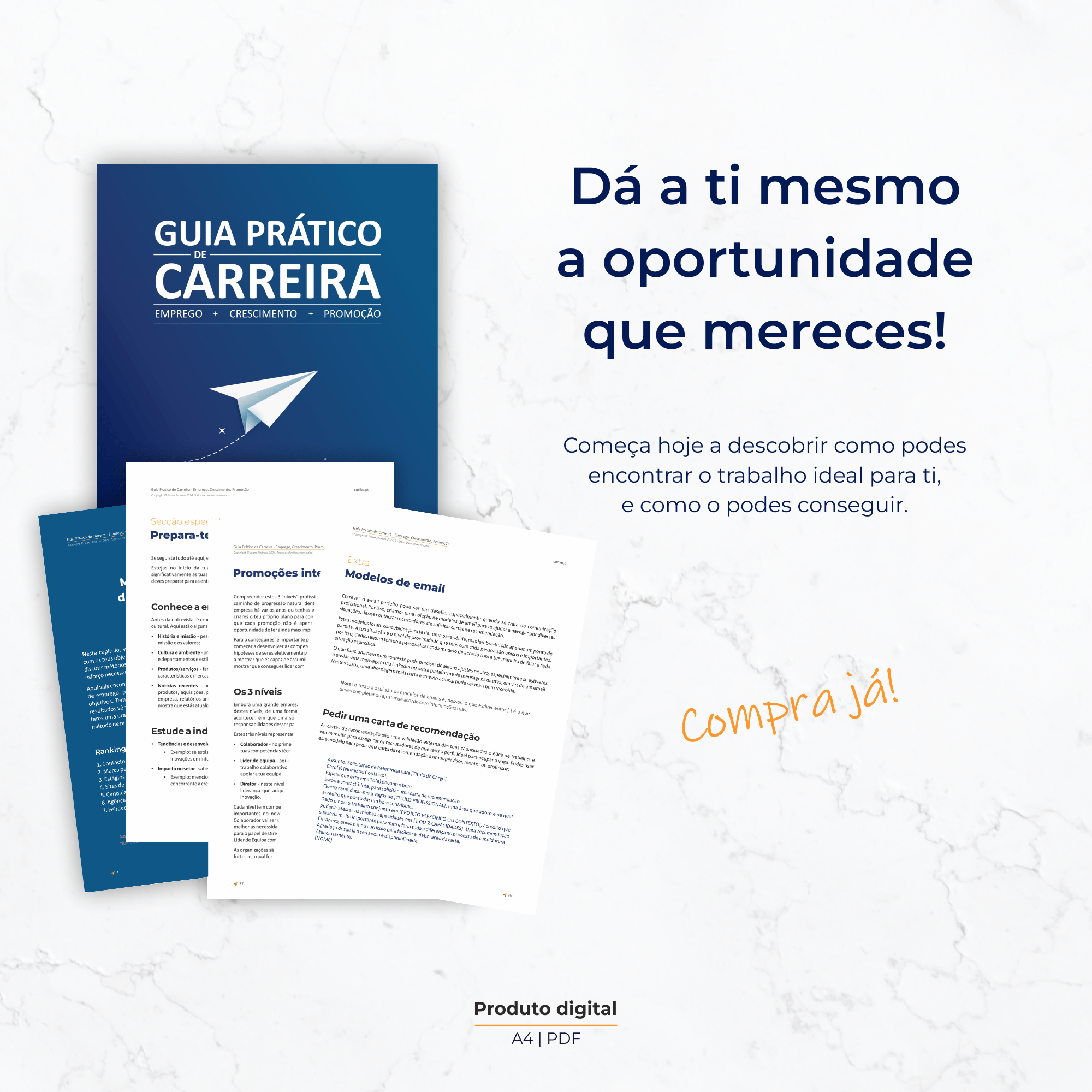 Guia Prático de Carreira - Emprego, Crescimento, Promoção - Image 5