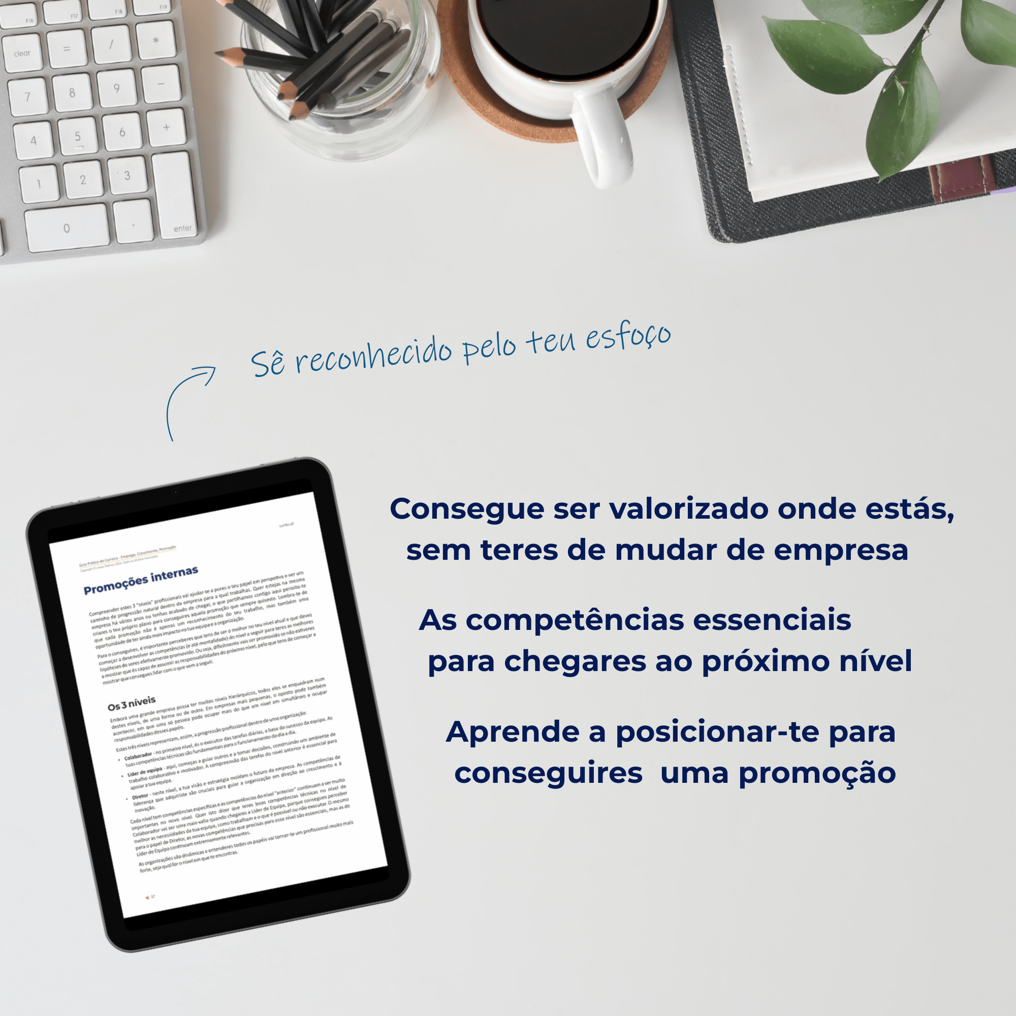 Guia Prático de Carreira - Emprego, Crescimento, Promoção - Image 3