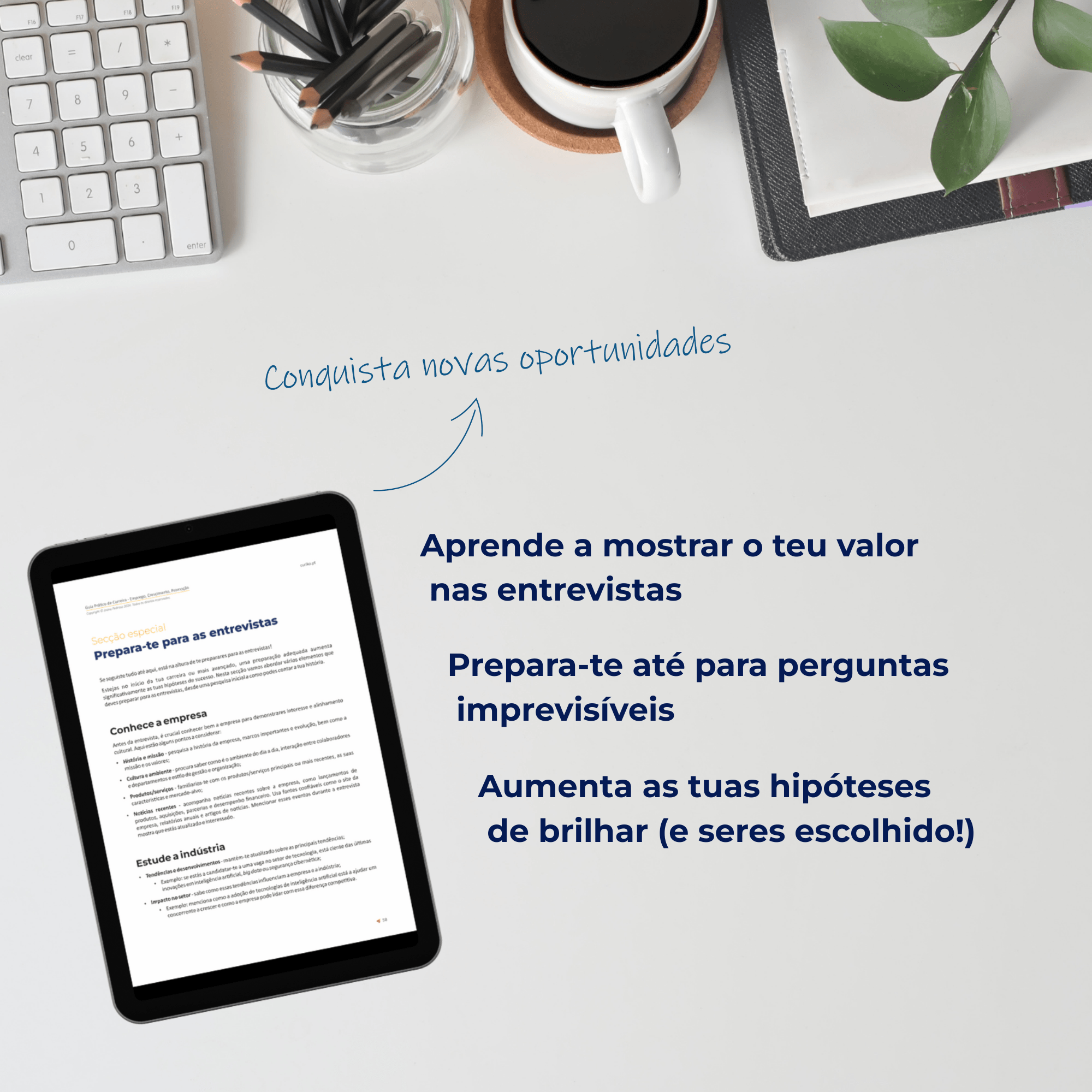 Guia Prático de Carreira - Emprego, Crescimento, Promoção - Image 4
